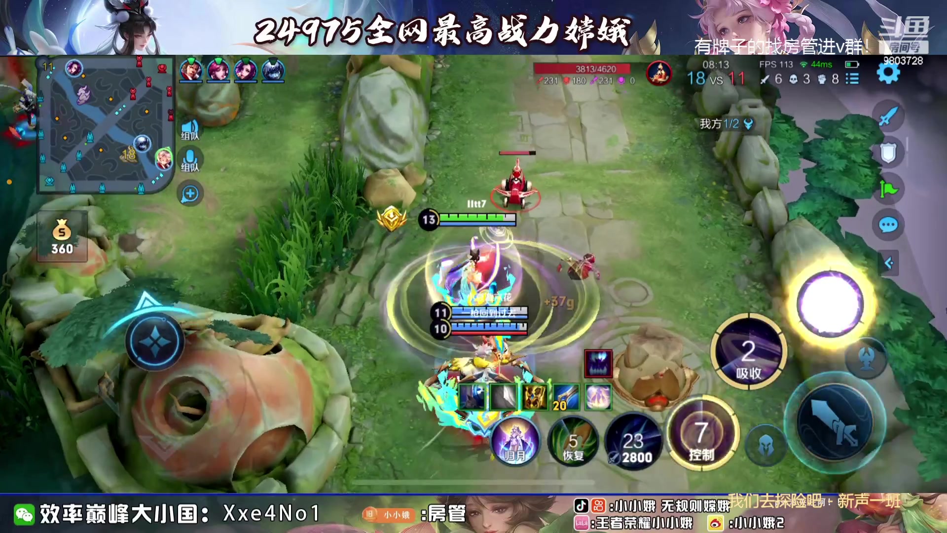 【2023-09-10 16点场】小小娥1：花有重开日 人无再少年！