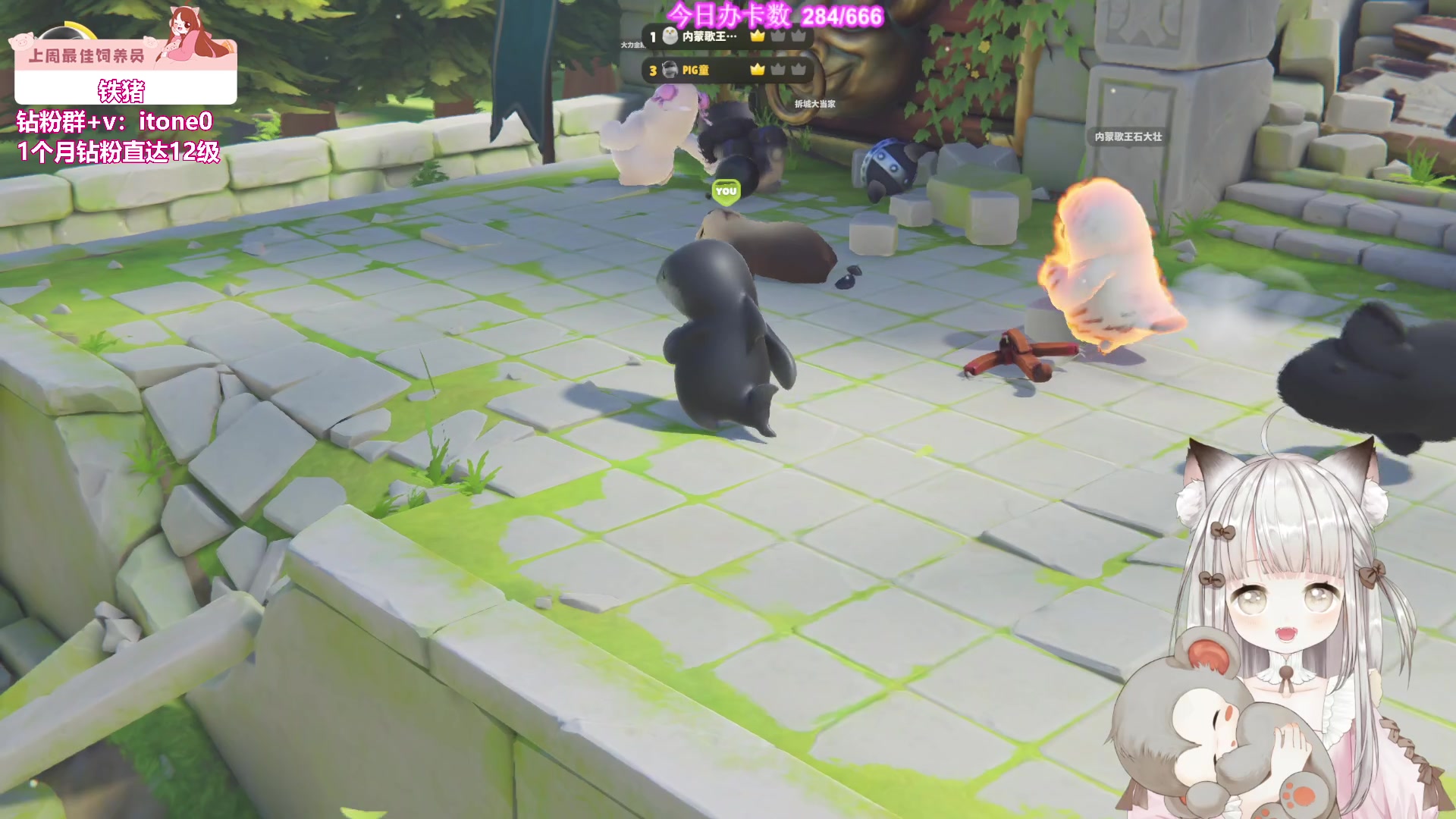 【2023-09-10 18点场】童猪啊i：钻粉狂欢）主播养生中