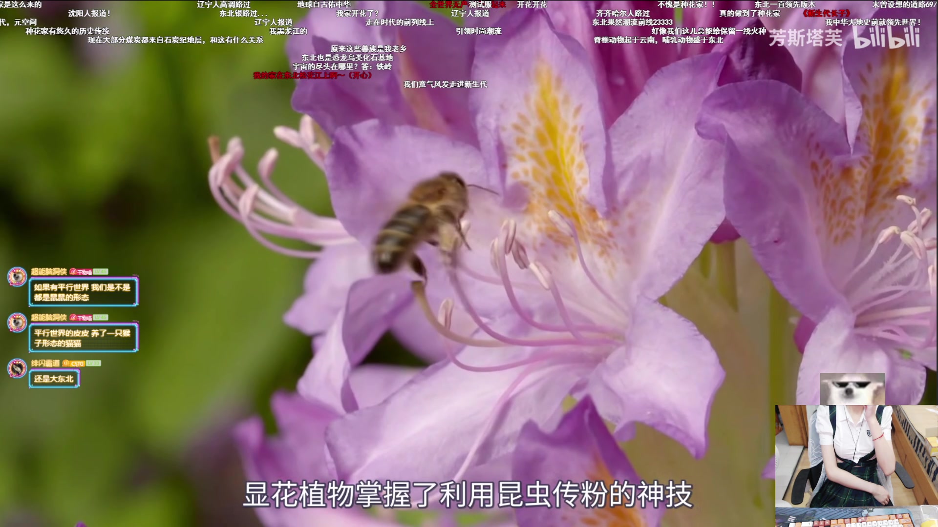 【2023-09-10 23点场】丶干物喵：干物喵❤关爱咸鱼少女