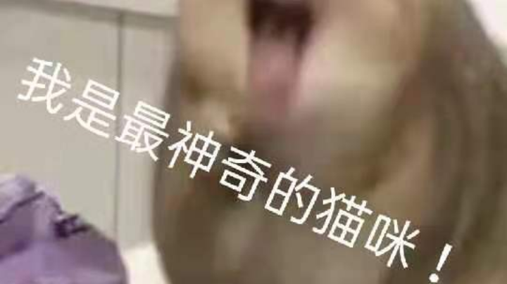 经典被骂