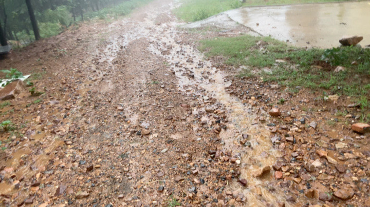 秋雨绵绵念故人