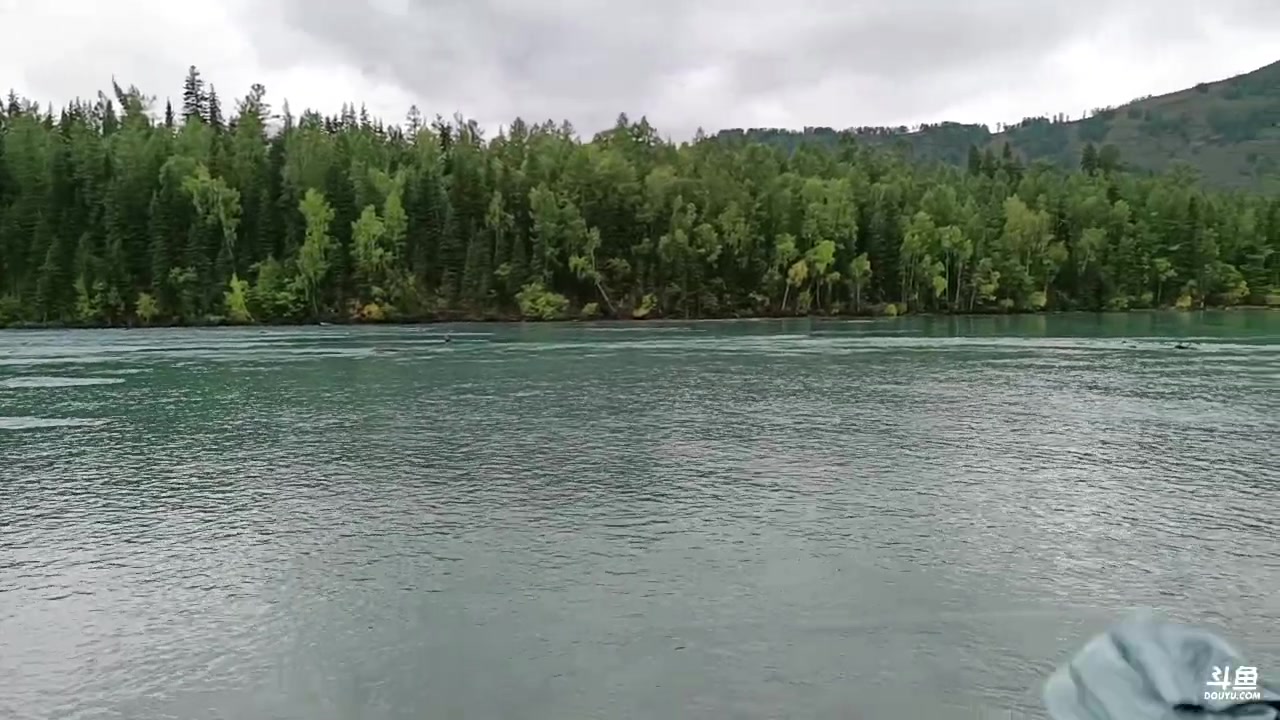 【2023-09-12 13点场】红眼小奎：新疆喀纳斯旅游中....