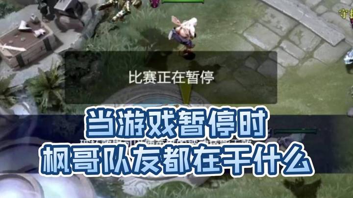当游戏暂停时 枫哥的队友都在干什么？交流战术(×) 拍领导马屁(√)
