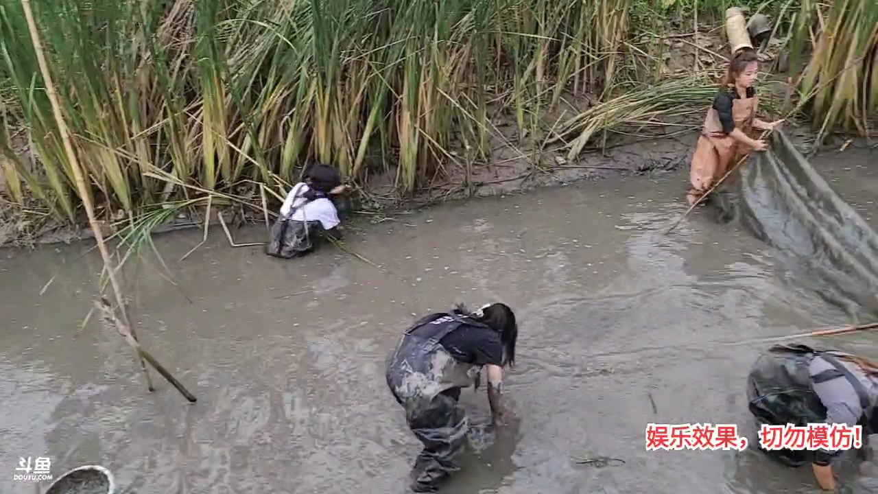 【2023-09-13 16点场】洪湖小肖：洪湖乡野团播day119