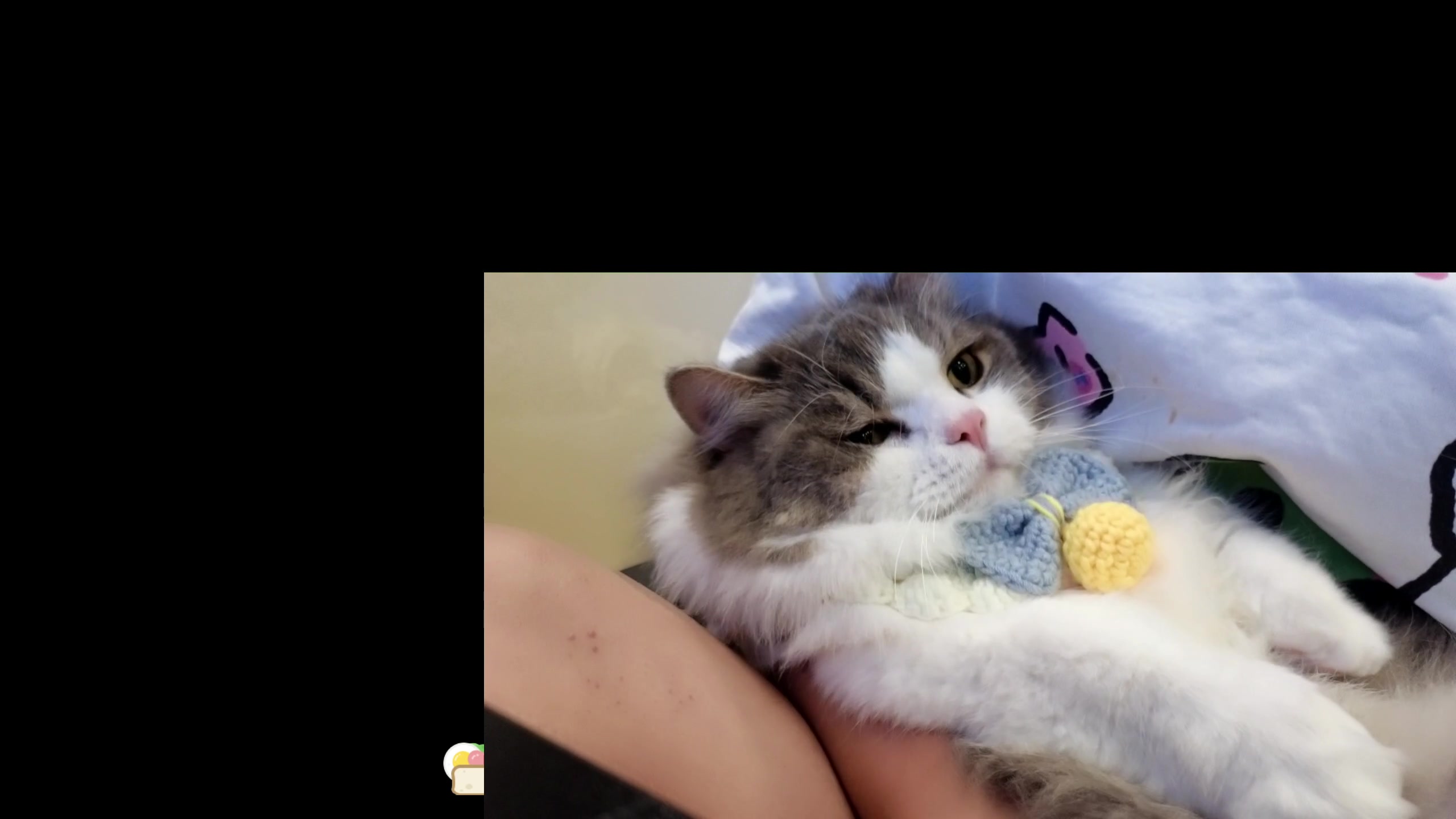 【2023-09-13 00点场】DYG萧玦：小上个2千588805