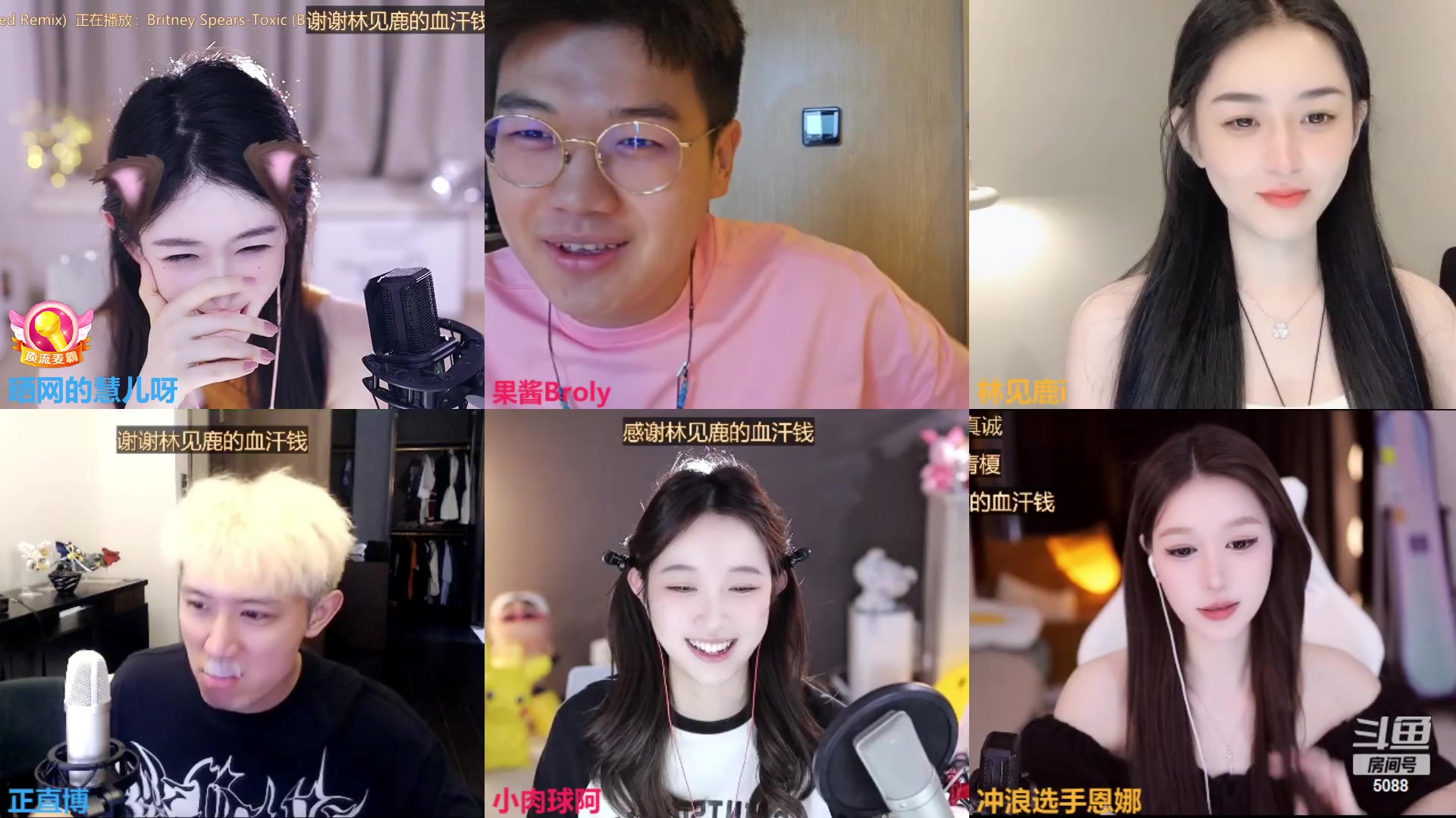 【2023-09-13 15点场】晒网的慧儿呀：小狗眼睛发炎还是要努力打工