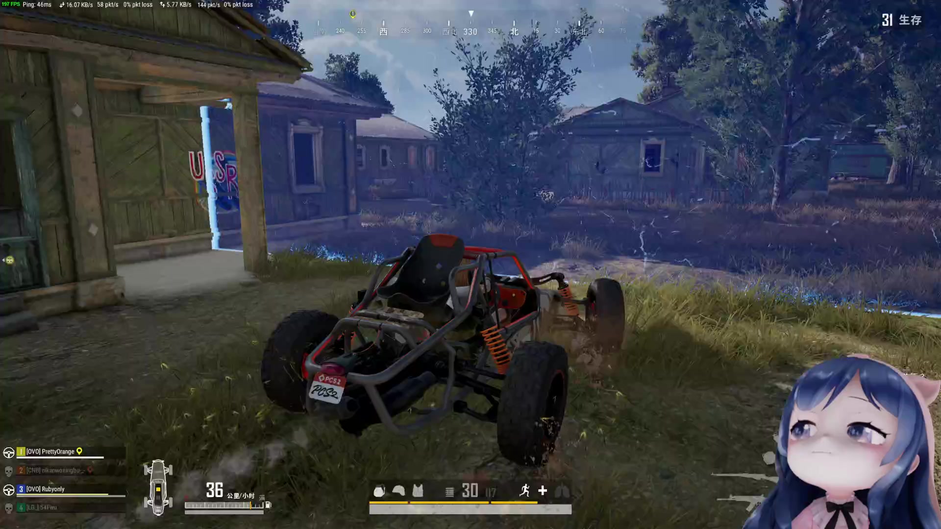 【2023-09-12 22点场】一条小团团OvO：每天要开心哟~