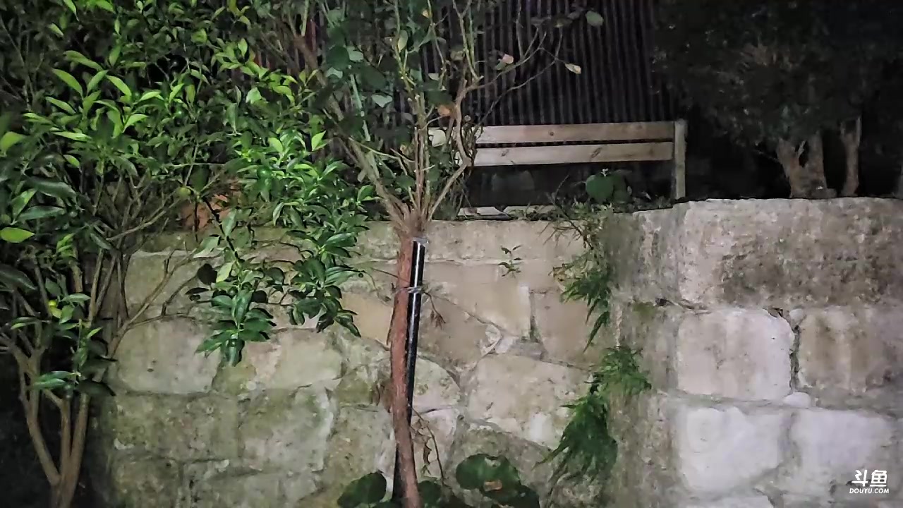 【2023-9-12 20点场】唐6儿:【小奶团】炉石DAY1在大巴上啦晚点开播