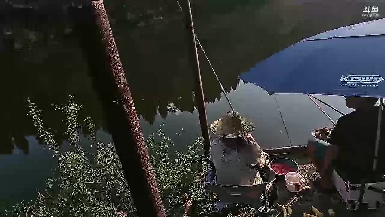 【2023-09-14 16点场】大嘴love：随心而动郑州