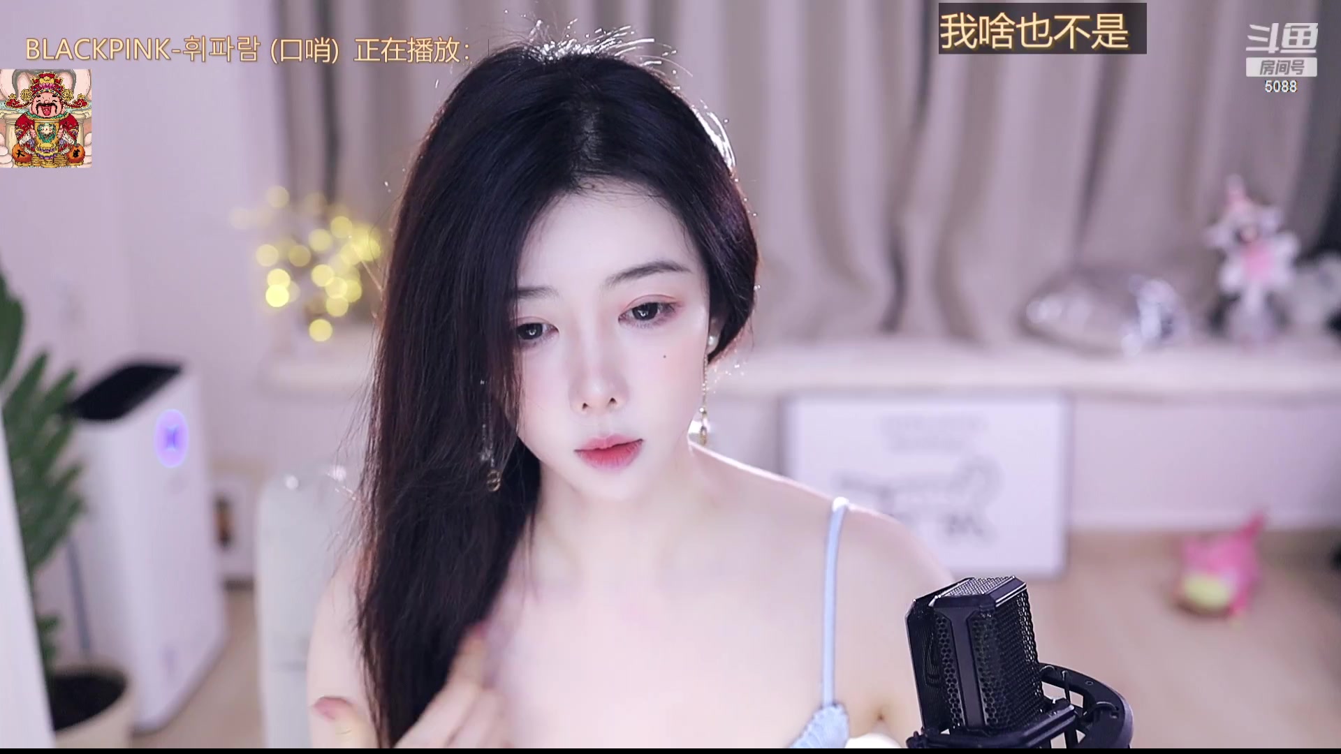 【2023-09-14 16点场】晒网的慧儿呀：小狗眼睛发炎还是要努力打工