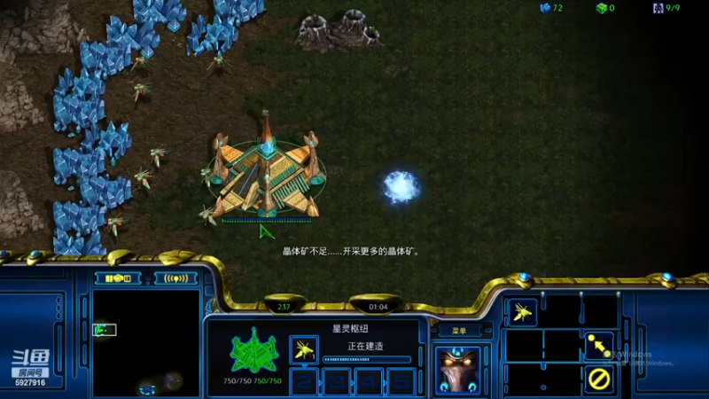 【2023-9-9 13点场】hxyfree:星际争霸 血肉战场