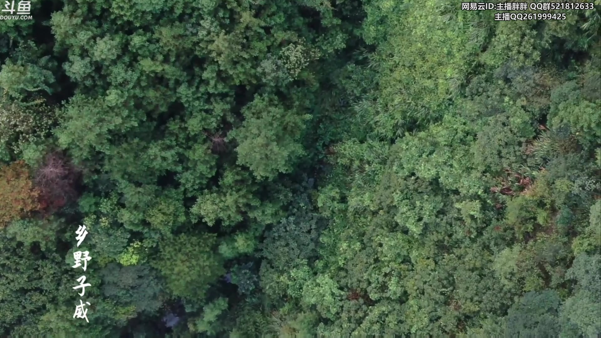 【2023-09-15 03点场】胖胖灬：胖胖OB：亚运LPL集训，神 700点！