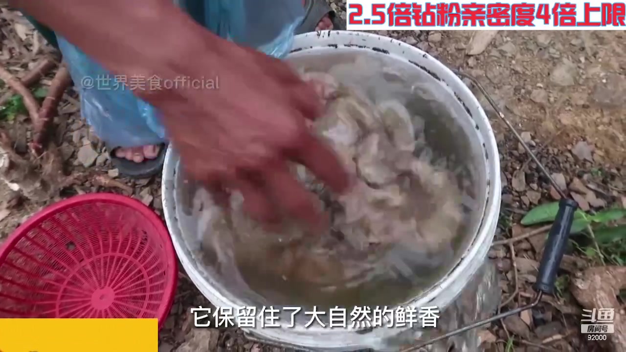 【2023-09-15 11点场】呆妹儿小霸王：【钻粉2.5倍】今晚4mango回归