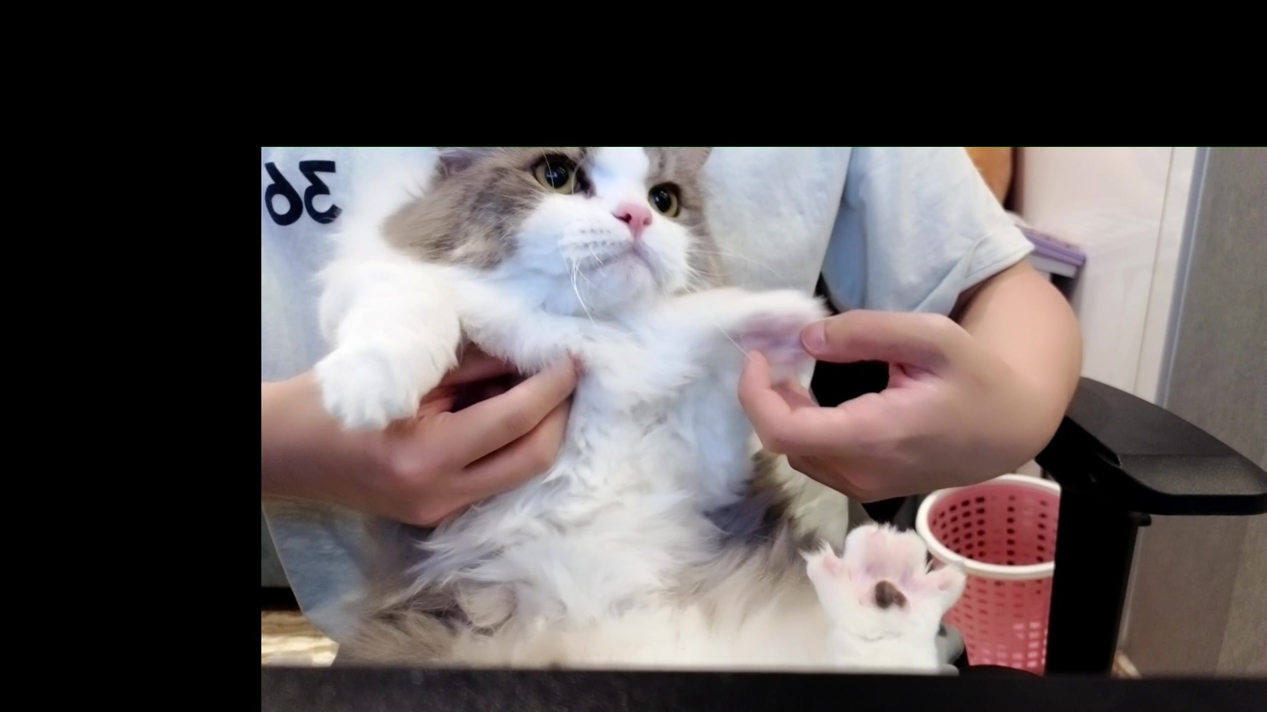 【2023-09-16 00点场】DYG萧玦：小上个2千588805