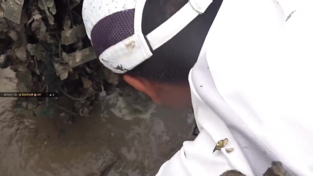 【2023-09-14 22点场】迷人的卿姐姐i：欢乐的时光开始啦！