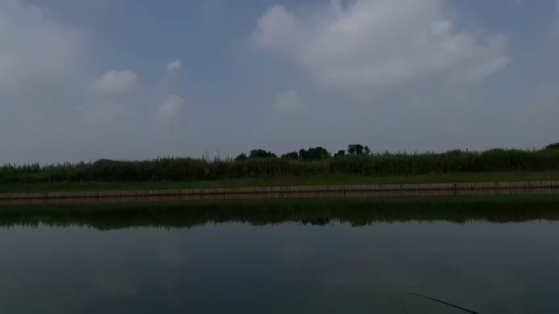 【2023-9-17 10点场】恐惧之鸦牛牛:秋天来了！！！！