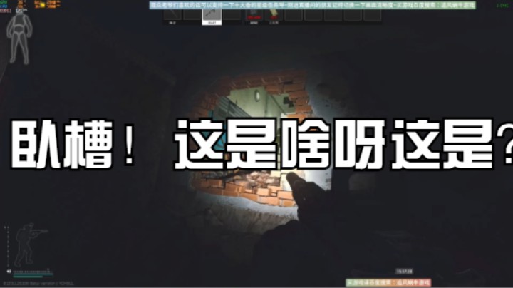 卧槽！这是啥呀这是？