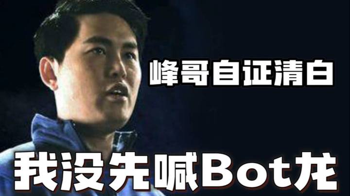 峰哥自证清白 Bot龙不是峰哥提出来的！是谢彬！