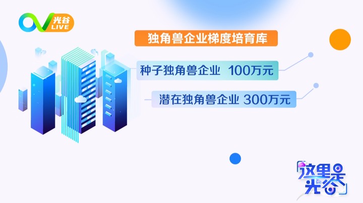 20230918这里是光谷