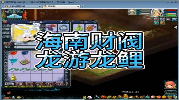 梦幻西游海南财阀龙游龙鲤