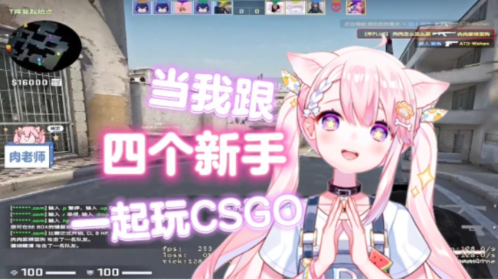 我有没有做CSGO新手老师的潜力~嘻嘻