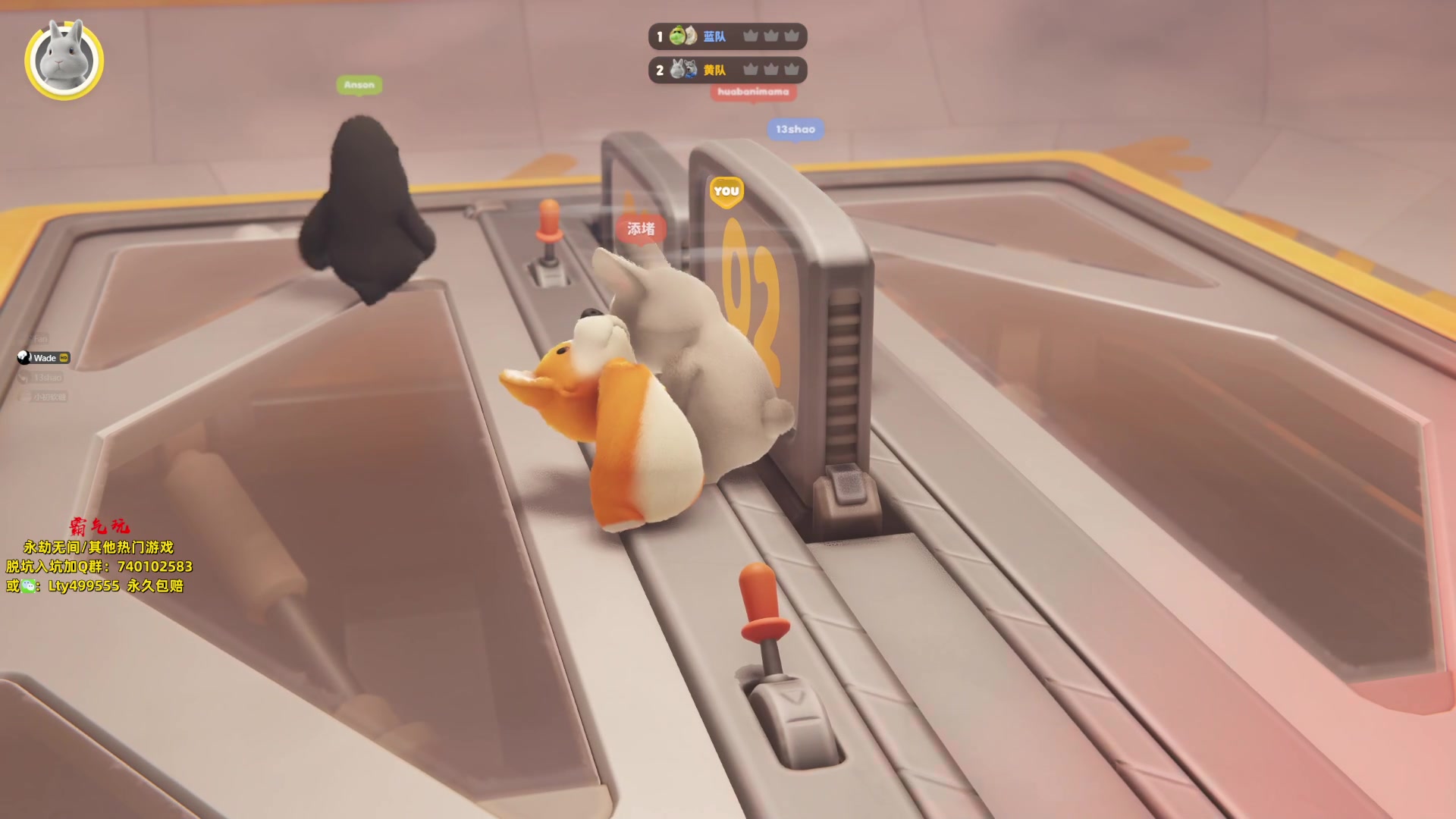 【2023-09-18 20点场】NRK丶反神：动物排队 DAD