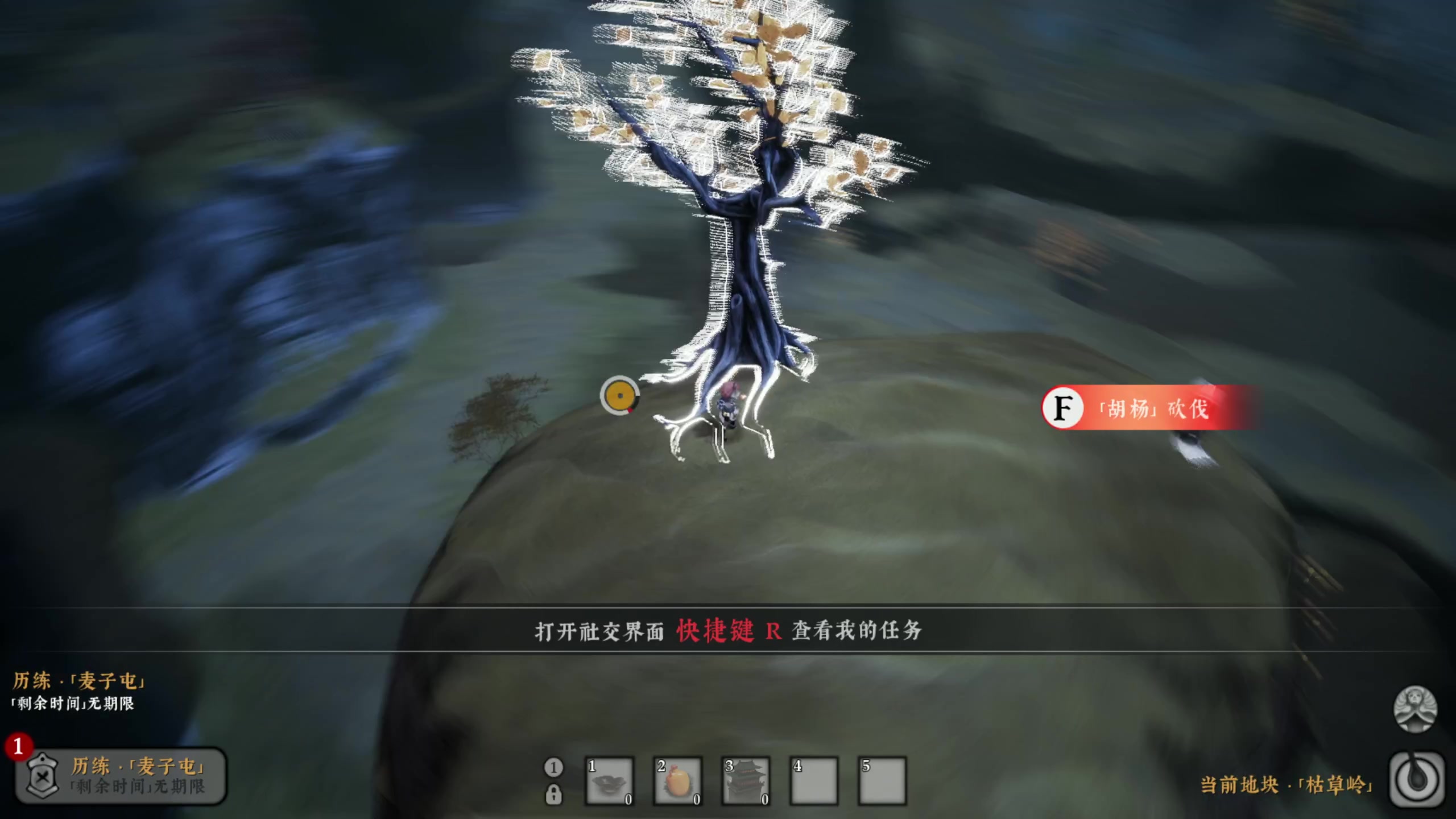 【2023-09-19 18点场】主播阿飞：阿飞）大侠胡乱砍