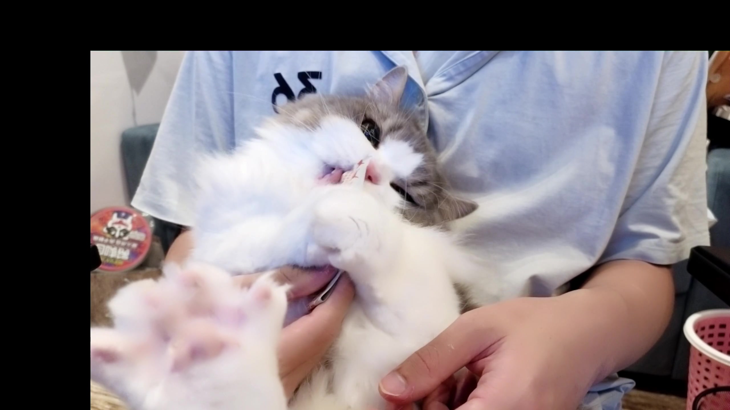 【2023-09-19 00点场】DYG萧玦：小上个2千588805