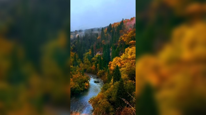 我说我要去旅行了，不是因为前方的风景，而是因为我想出发了