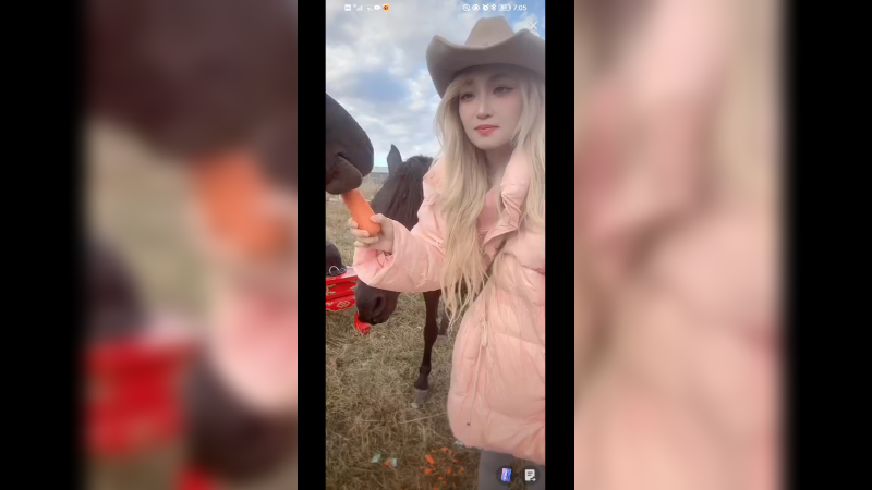 美女一大早就来喂马吃胡萝卜