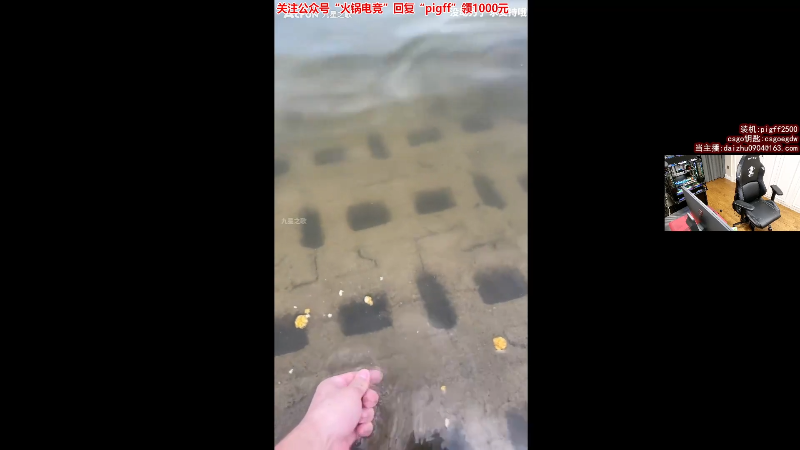 这是我剪辑的pigff的直播精彩时刻，快来看看吧~