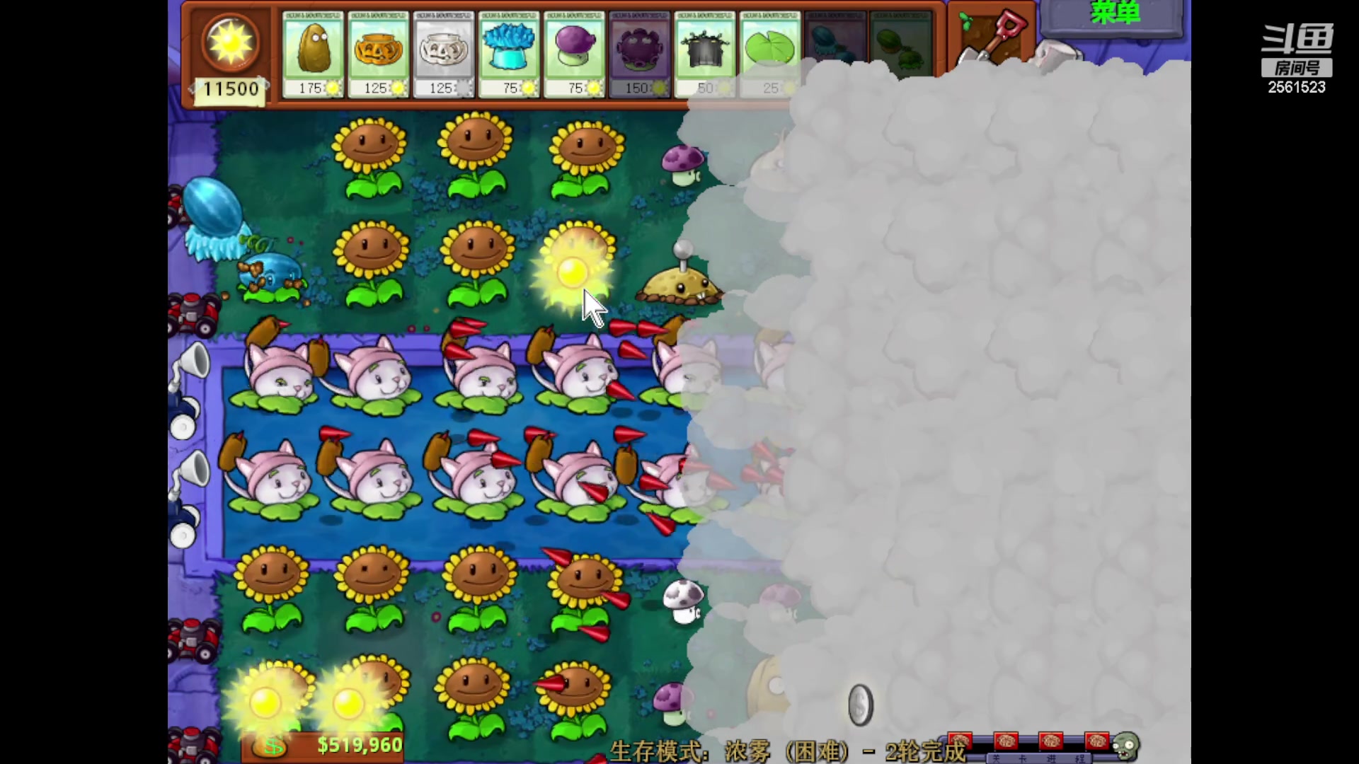 【2023-09-22 13点场】冲酱ccc：双倍亲密度~一元粉丝牌~