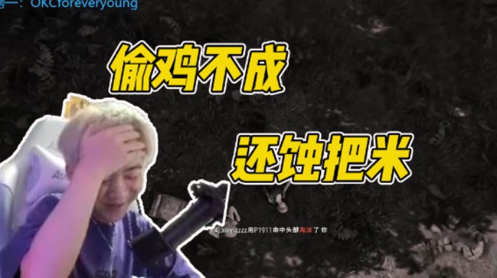 偷鸡不成还蚀把米