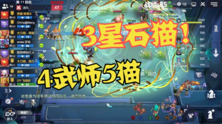 3星石猫！！！4武师5猫，解锁悬赏