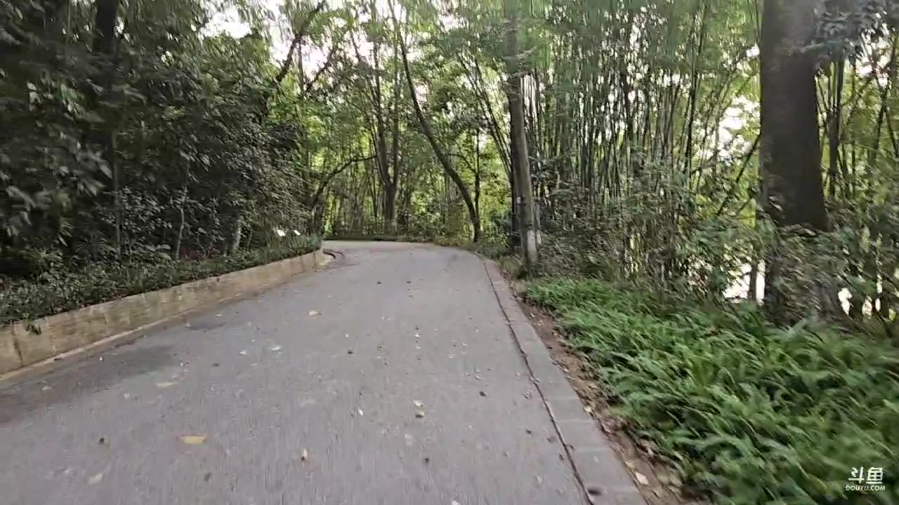 【2023-09-22 16点场】蓝战非OvO：广州吃吃吃～环游第187天