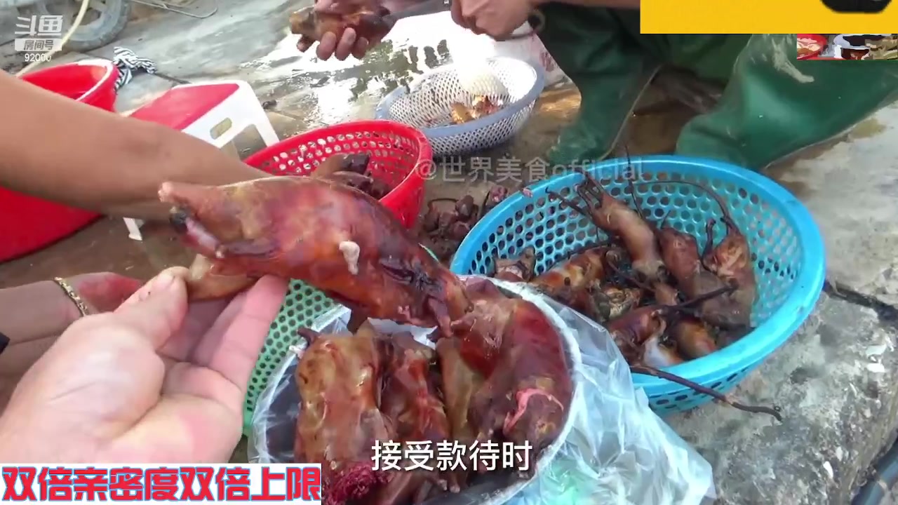 【2023-09-23 04点场】呆妹儿小霸王：【双倍】一起see