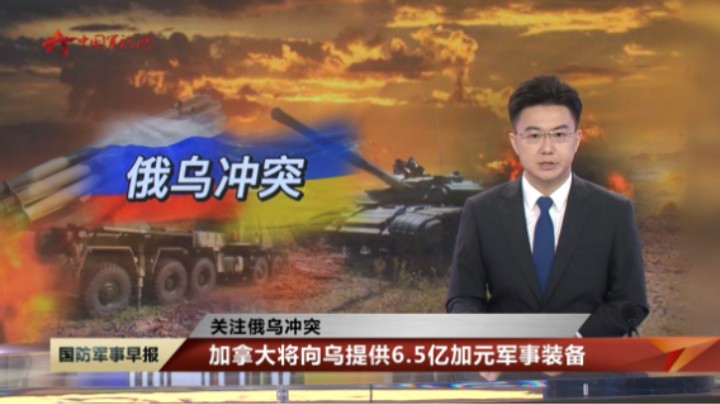 加拿大将向乌提供6.5亿加元军事装备