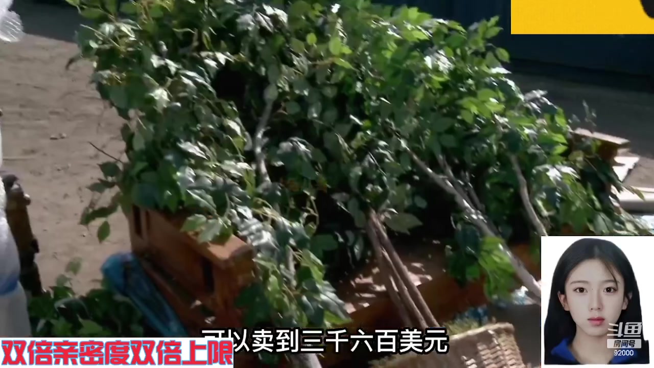 【2023-09-25 05点场】呆妹儿小霸王：【双倍】一起see