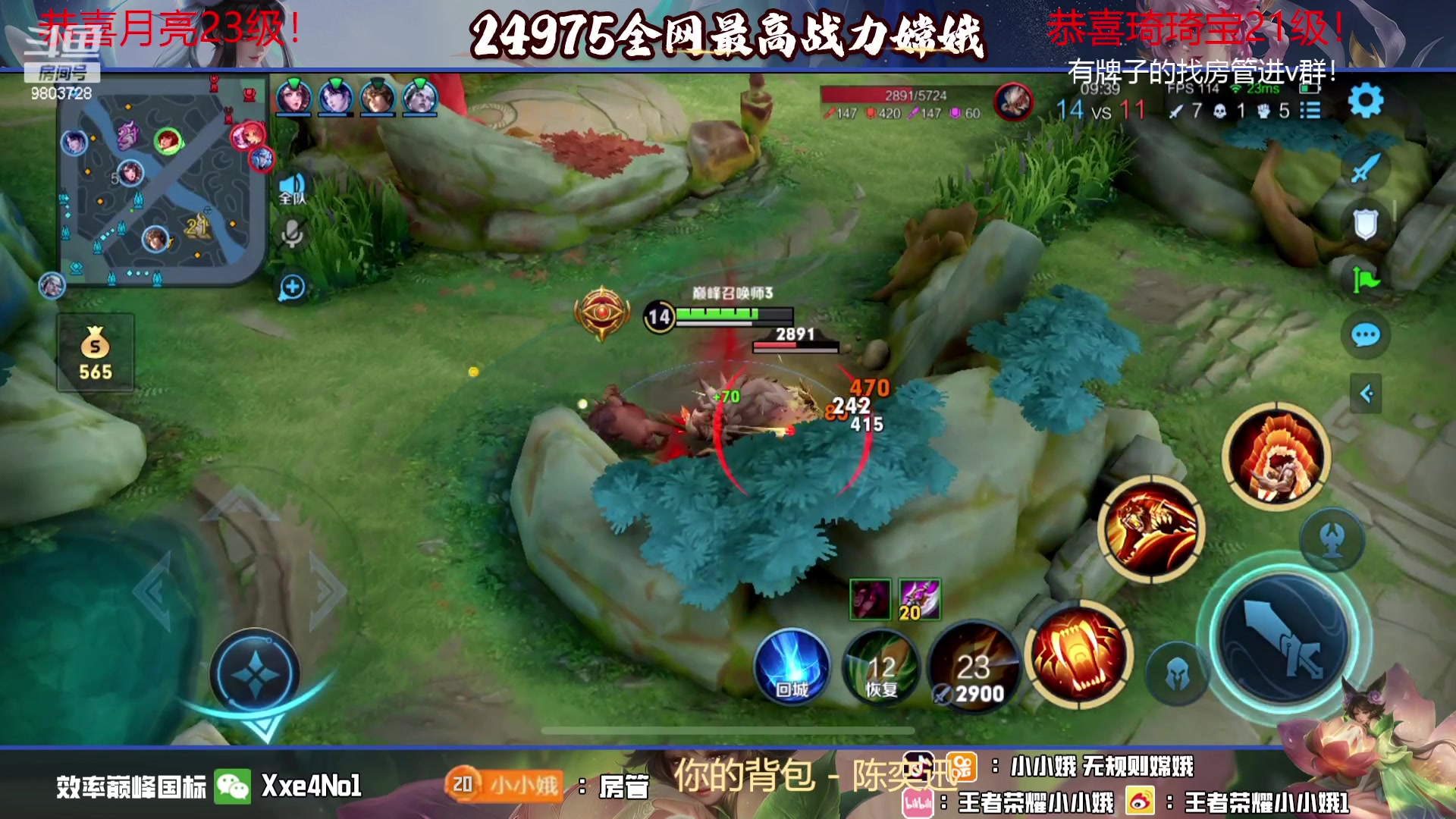 【2023-09-24 23点场】小小娥1：【黄金双倍】势必成为国服老虎的第三天！