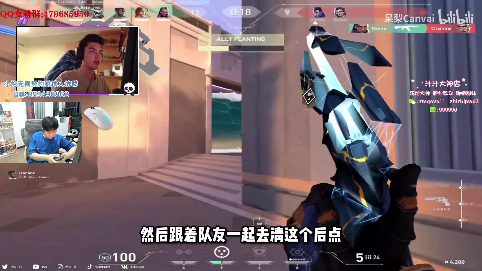 【2023-09-24 04点场】B加巧克力：【B加】1元粉丝 双倍亲密