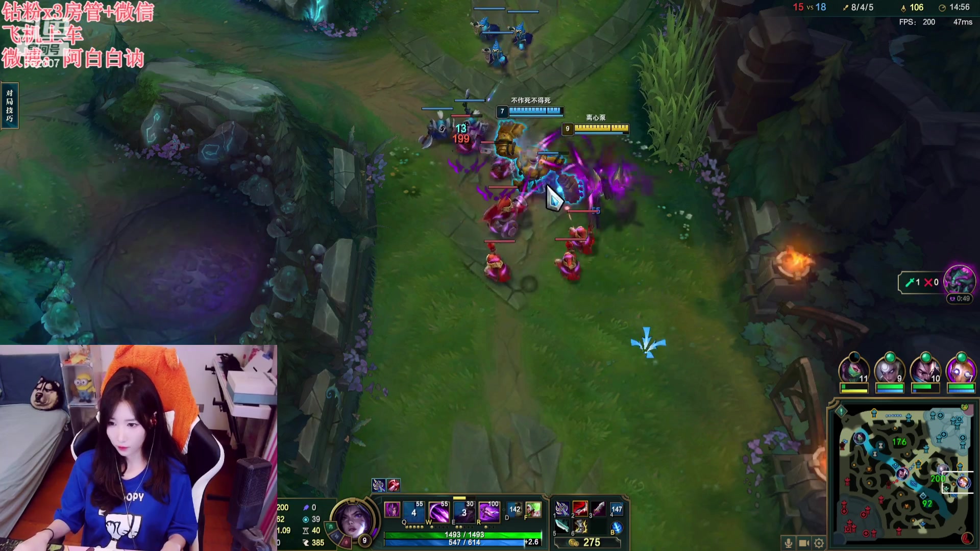 【2023-09-25 22点场】白菇凉：阿白白：一元粉丝牌牌