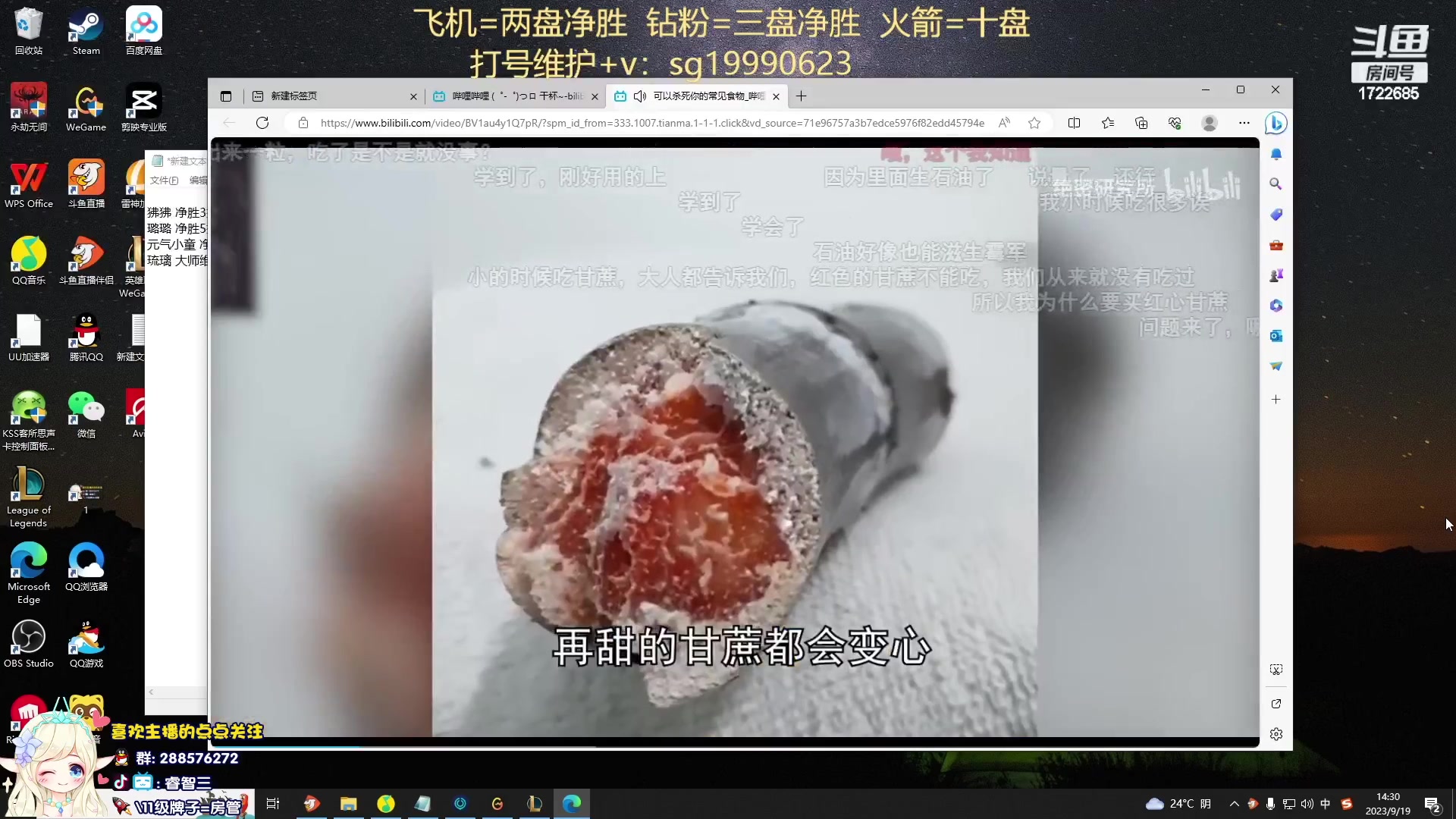 【2023-09-23 13点场】睿智三：风女风女！！！