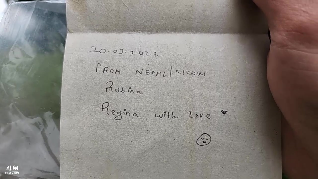 【2023-09-20 13点场】叶子户外：《纪实直播》day9尼泊尔