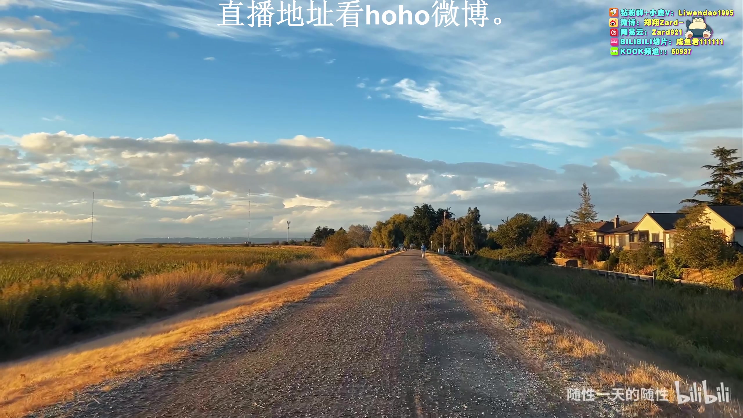 【2023-10-01 08点场】zard1991：Zard1991 chill dude