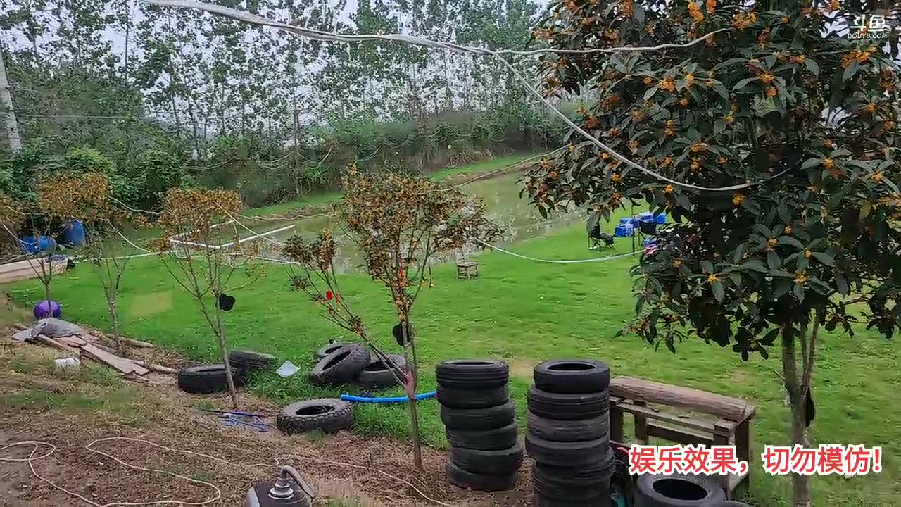 【2023-10-02 15点场】洪湖小肖：洪湖乡野团播day138
