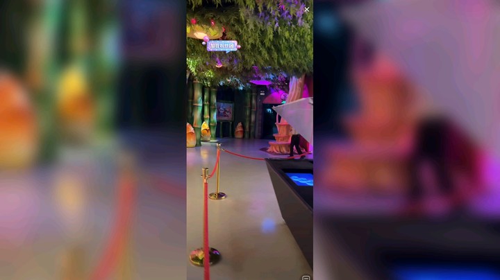 大熊猫帅帅可爱