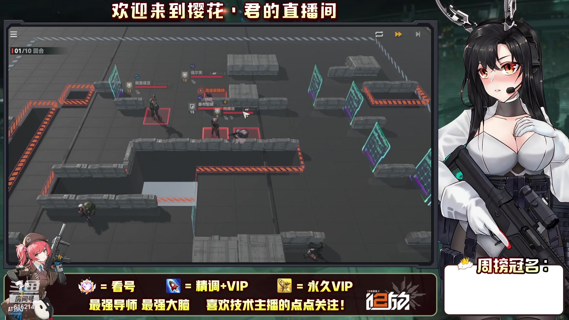 【2023-10-04 14点场】樱花丶君：顶级导师！！