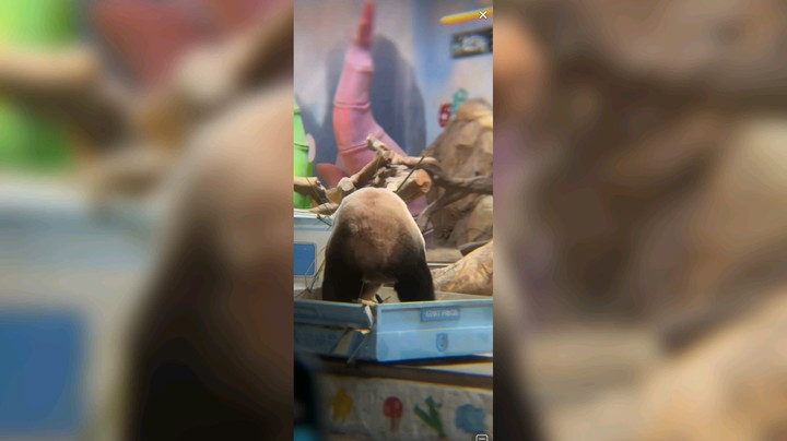 大熊猫坐火车好快乐