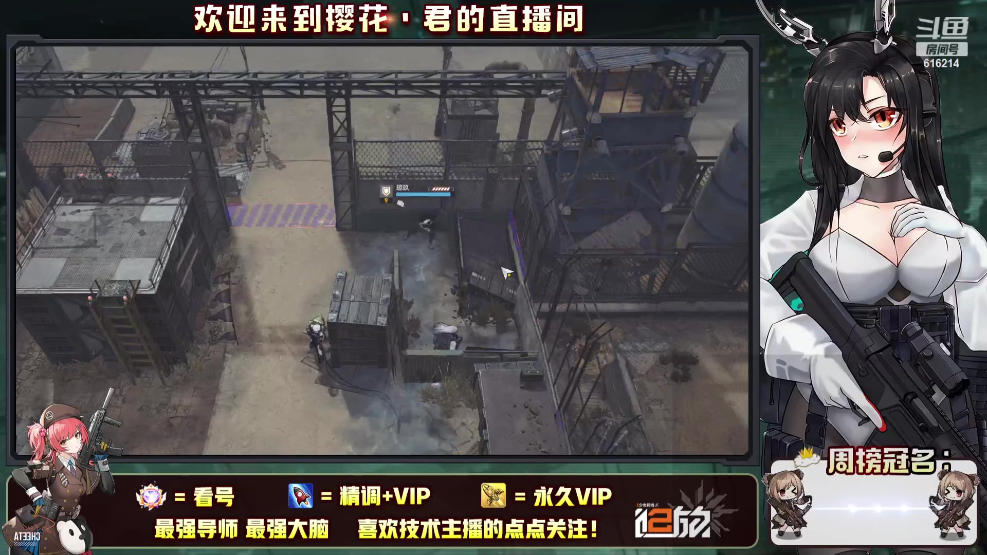 【2023-10-05 10点场】樱花丶君：顶级导师！！