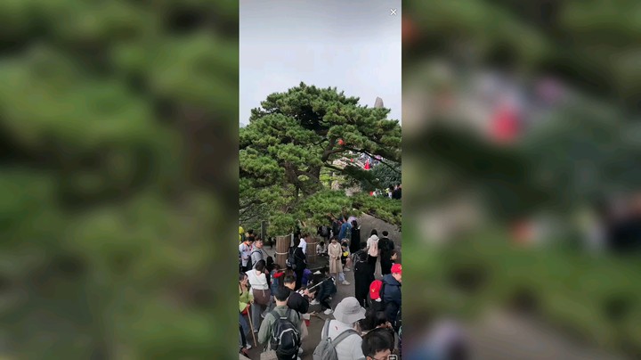 今天黄山天气好，大家都来看迎客松